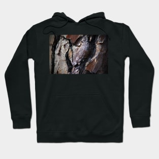 Heart Bark Hoodie